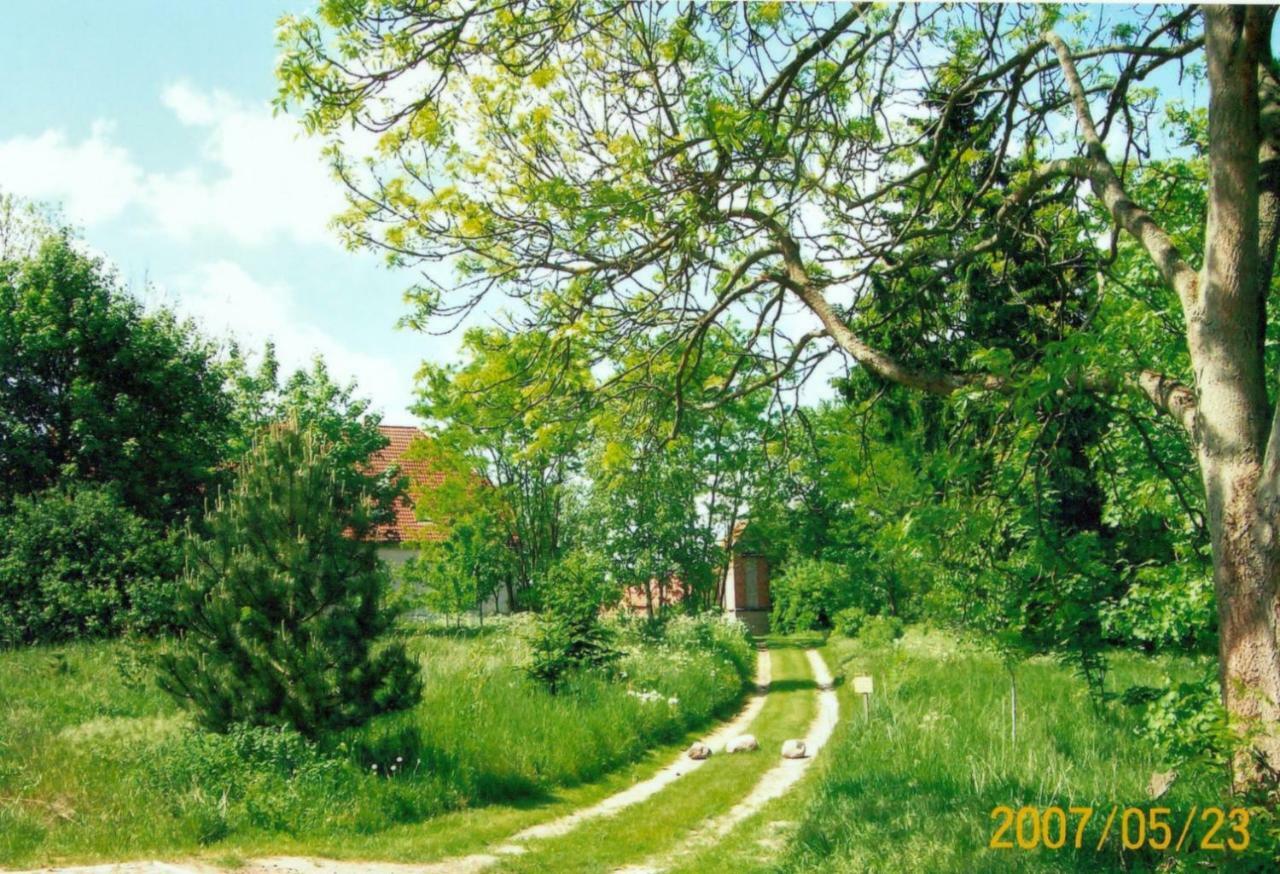 Appartement Gutshaus Alt-Jargenow à Alt Jargenow Extérieur photo